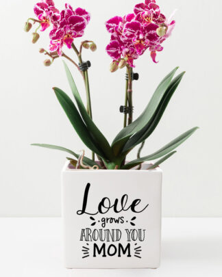 vaso-regalo-mamma-personalizzato-festa-casa