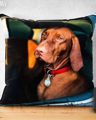 Cuscino Personalizzato con Foto del Tuo Cane