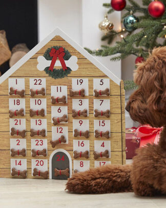 calendario-avvento-cane