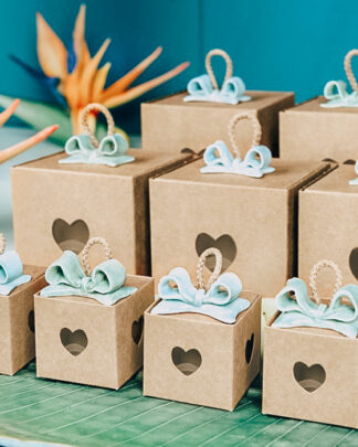 scatoline-portaconfetti-bomboniere-avana