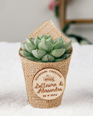 Bomboniera con Piante Grasse Succulente e Mini Cactus in Vasetto con Juta e Tag In Legno Personalizzabile Con Dedica "Guardami Crescere" e Decorazione Floreale - Idea Bomboniera Battesimo
