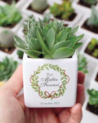 Bomboniera con Piante Grasse Succulente e Mini Cactus in Vasetto di Ceramica Bianco Personalizzata con Nome, Corona di Laurea con Fiocco e Data - Idea Bomboniera Laurea