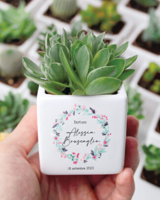 Bomboniera con Piante Grasse Succulente e Mini Cactus in Vasetto di Ceramica Bianco Personalizzata con Nome, Corona di Fiori Colorati e Data - Idea Bomboniera Laurea