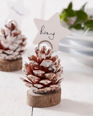 segnaposto-pigna-innevata