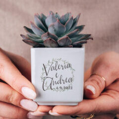 bomboniera-personalizzata-vasetto-pianta-grassa-succulenta-matrimonio