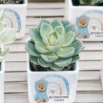 bomboniere-succulente-personalizzate-ceramica-orsetto