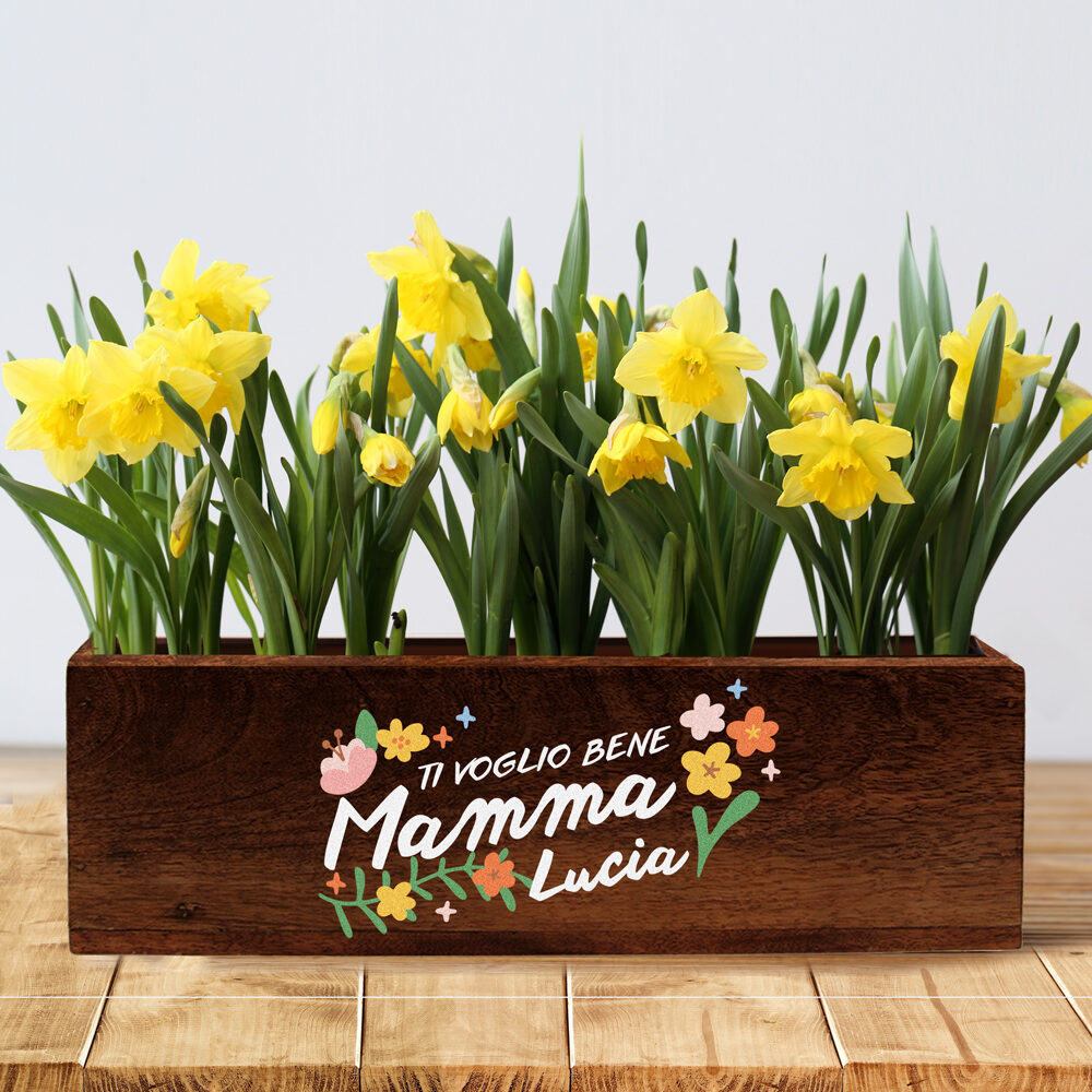 cassettina-personalizzata-mamma-portavaso