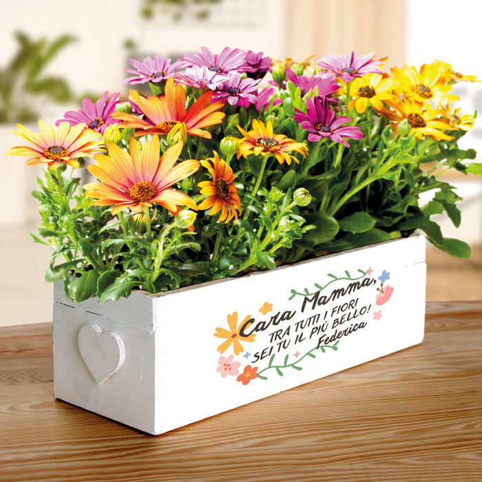 ioriera-cassettina-personalizzata-regalo-festa-mamma