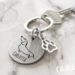 PER CHI AMA GLI ANIMALI