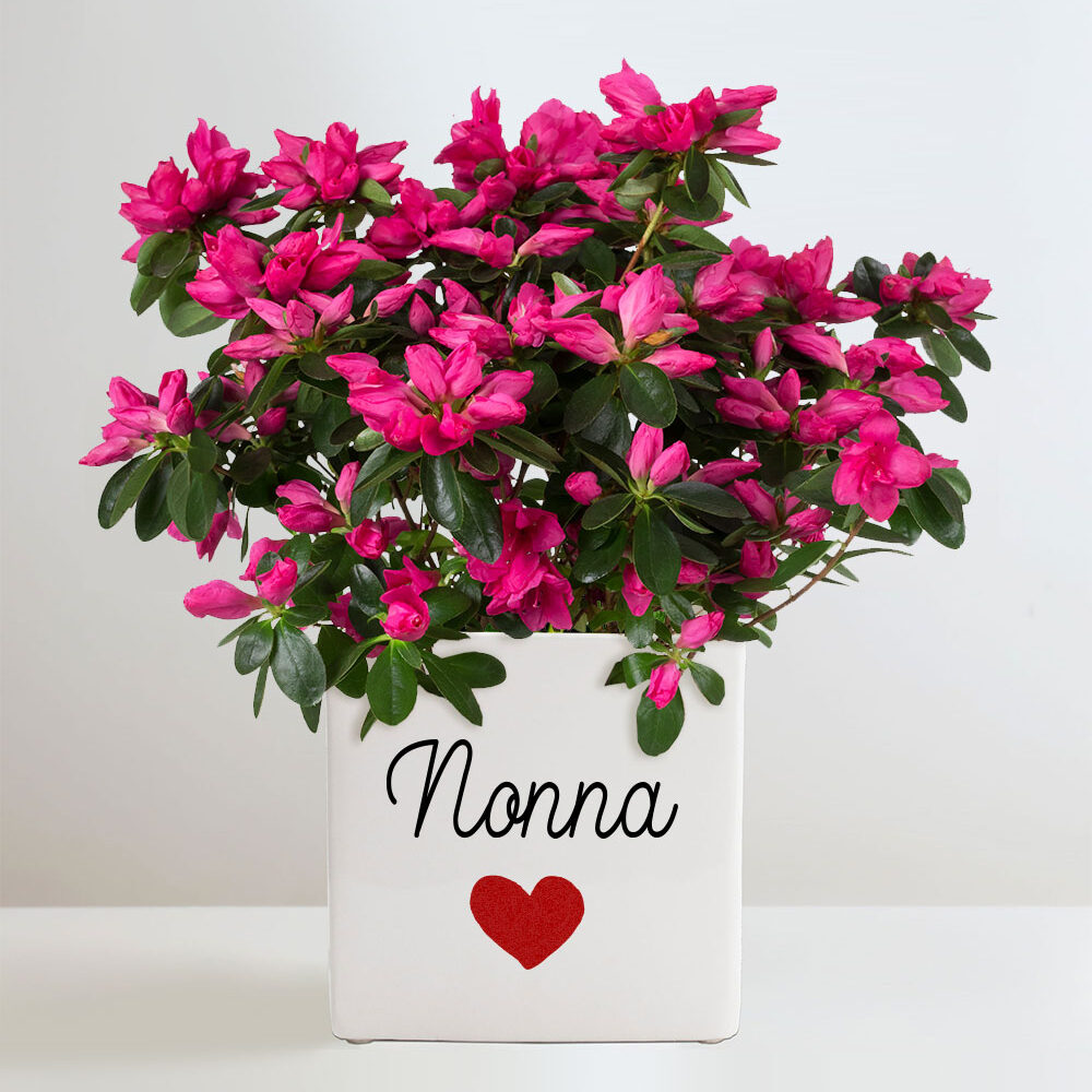 vaso-fiori-festa-nonni-nonna-nonno-foto-regalo-personalizzabile-nipote-2