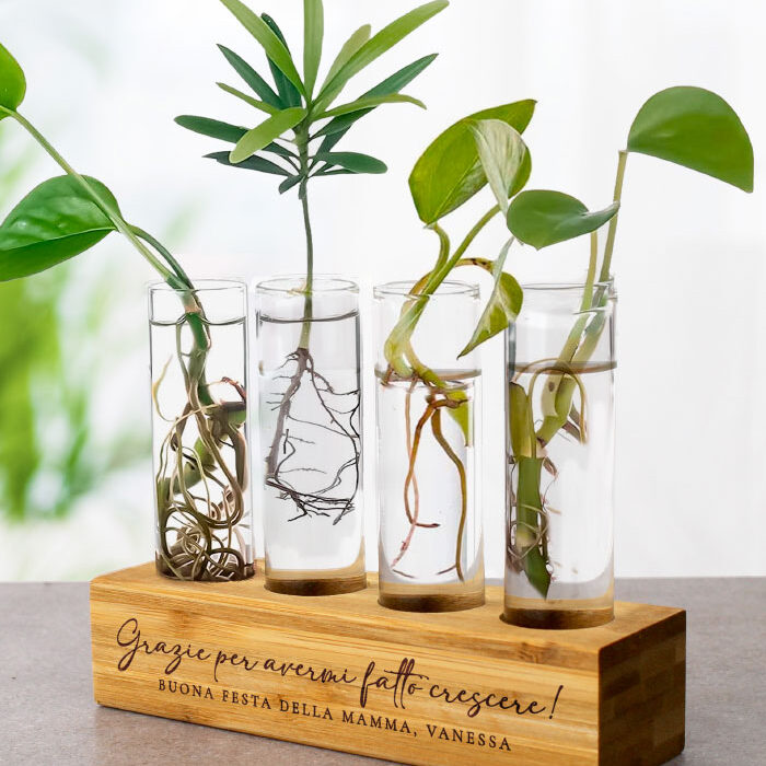 vaso-giardinaggio-talee-regalo-personalizzato-festa-mamma