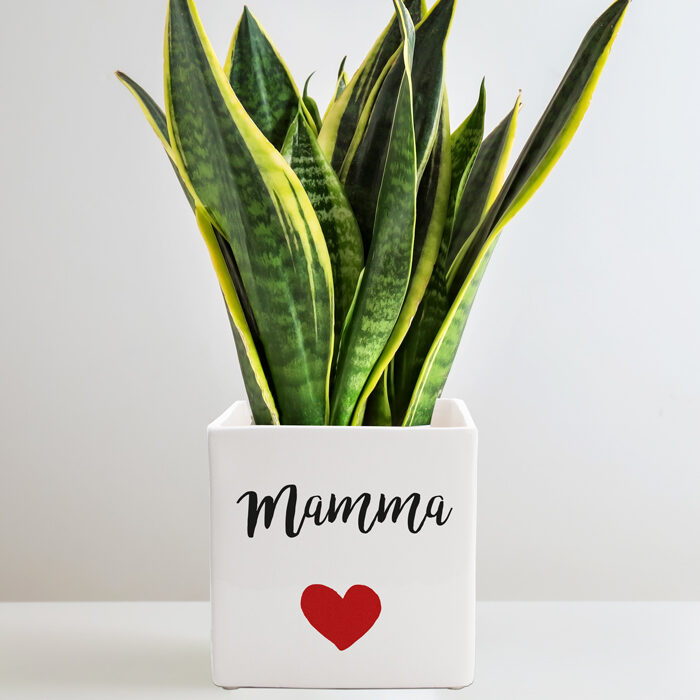 vaso-mamma-cuore-personalizzato-frase-dedica